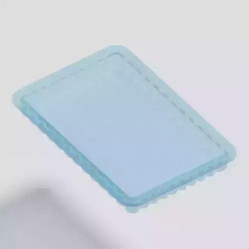 Transparent Serving Plate