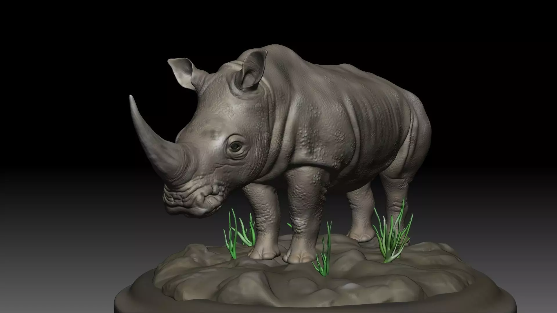 Asian Rhino Rhinoceros 3D print model 3D print model