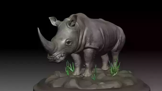 Asian Rhino Rhinoceros 3D print model