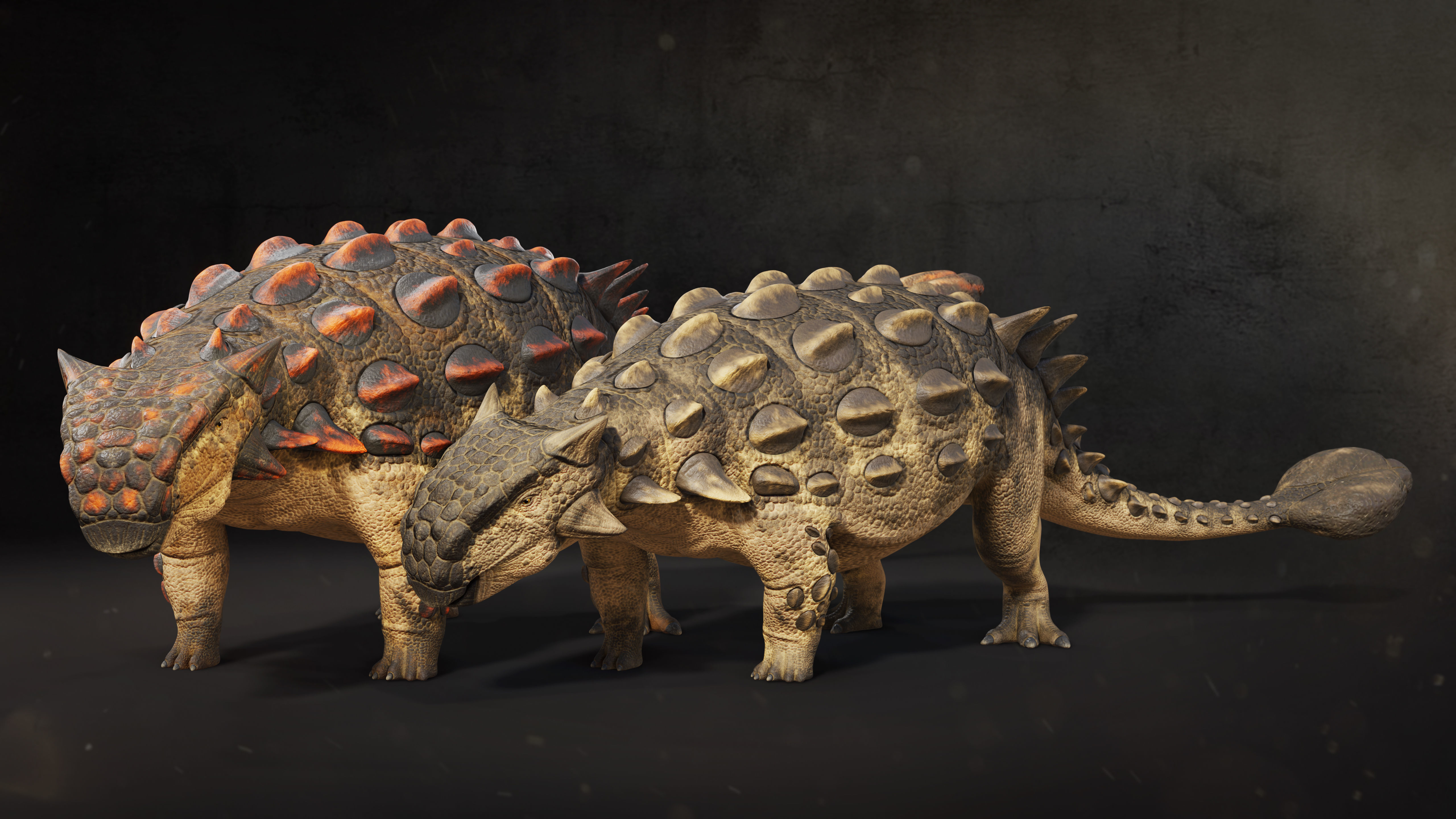 Ankylosaurus Rig asset Low-poly 3D model_4