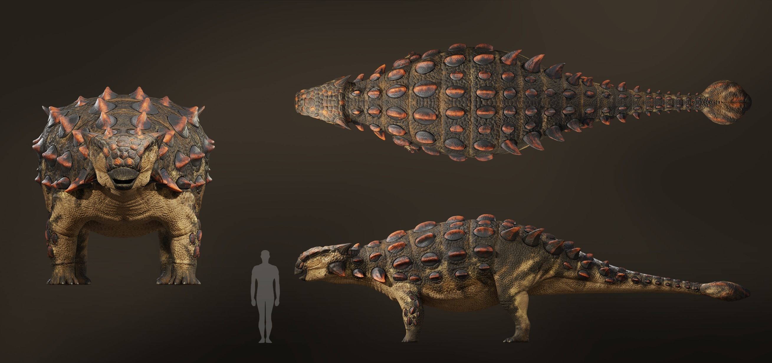 Ankylosaurus Rig asset Low-poly 3D model_7