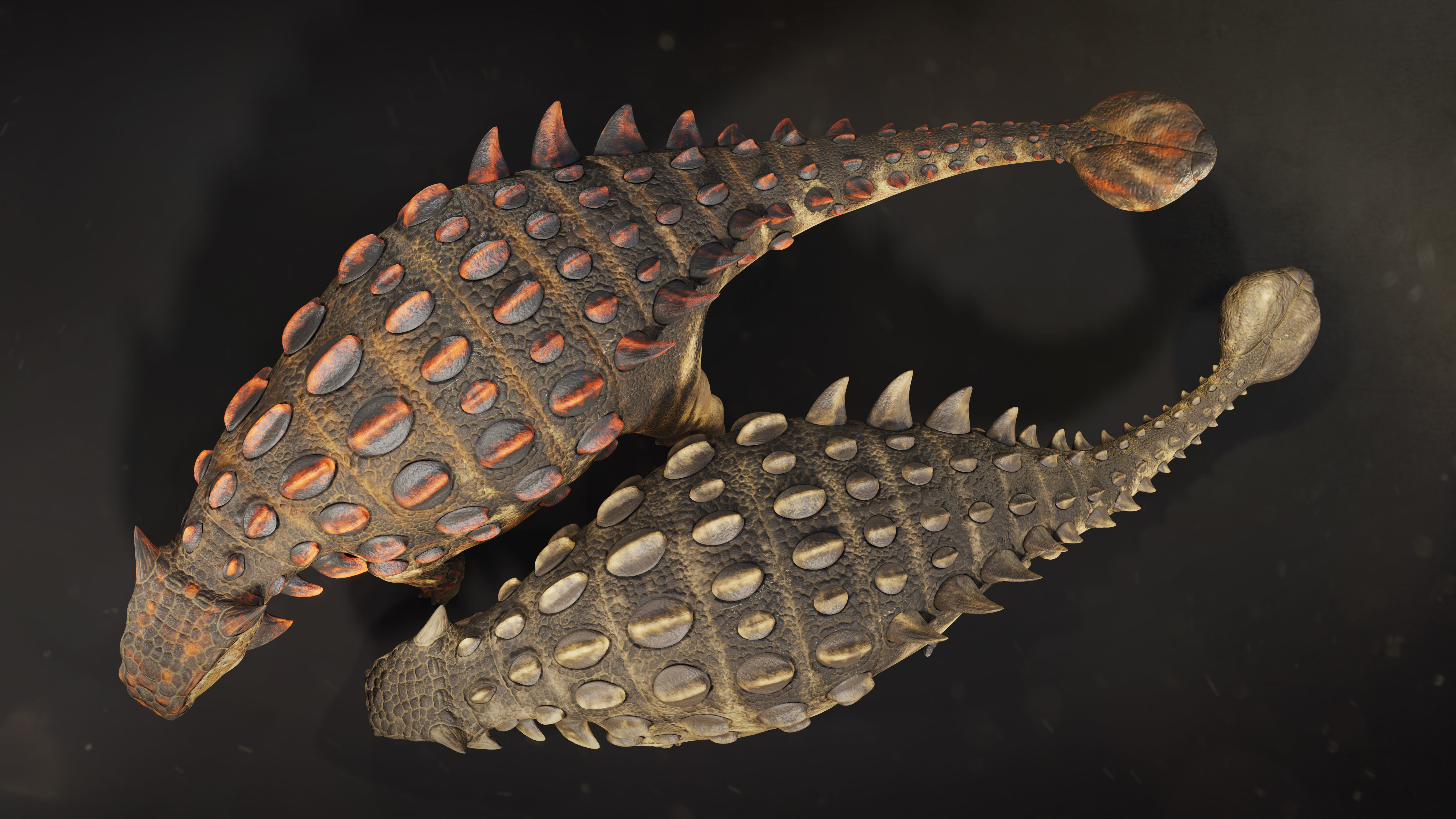 Ankylosaurus Rig asset Low-poly 3D model_5