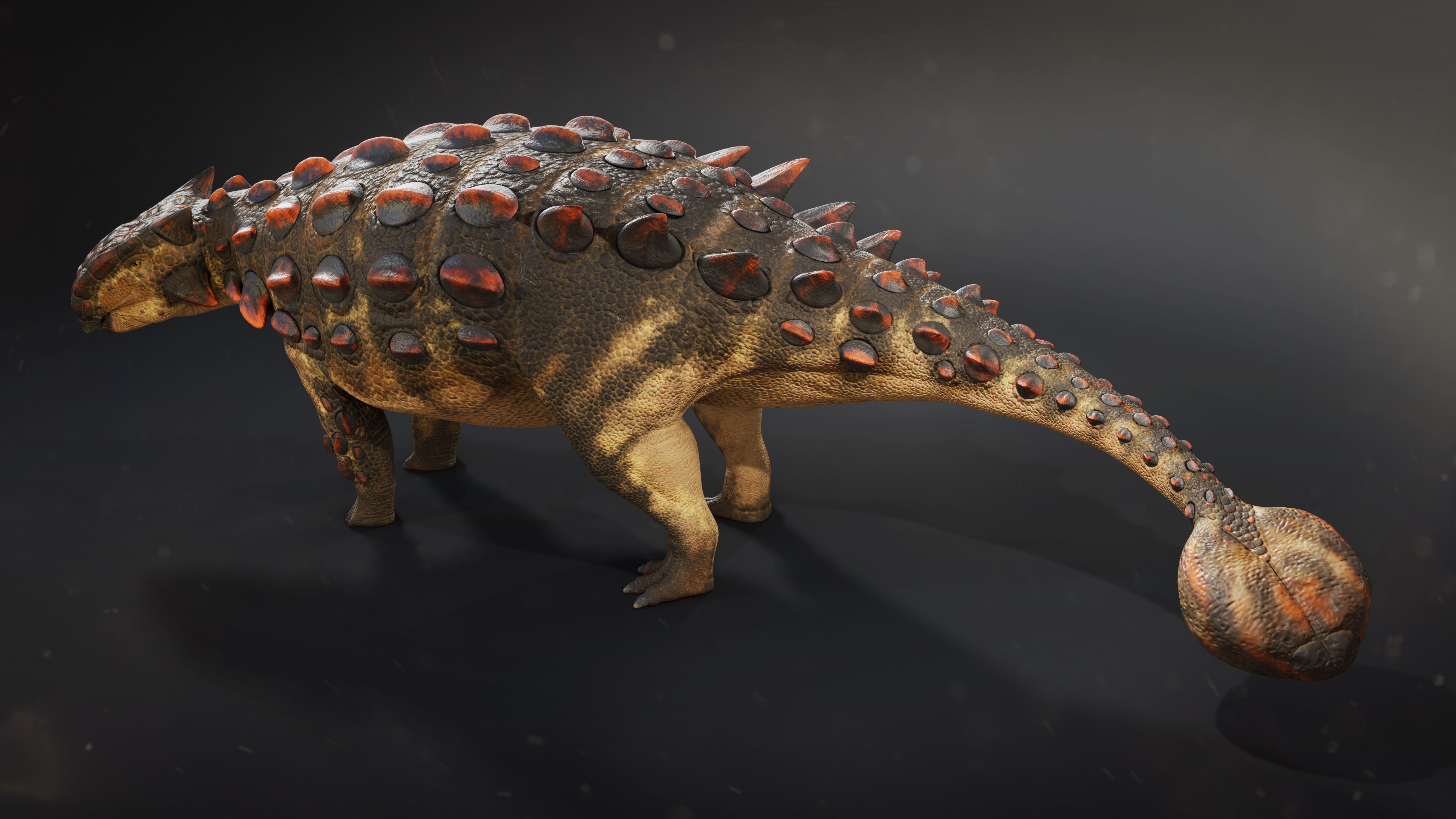 Ankylosaurus Rig asset Low-poly 3D model_2