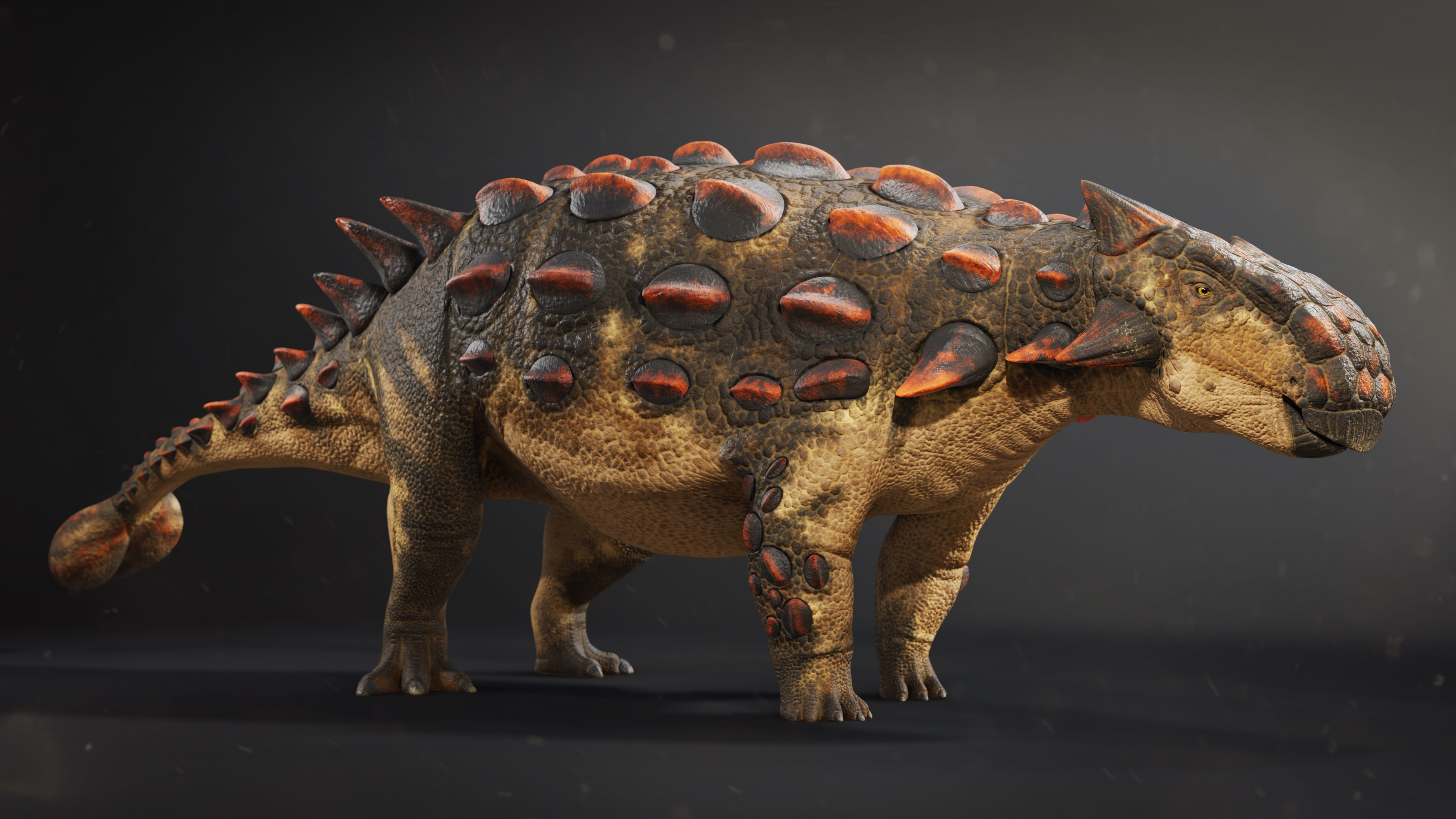 Ankylosaurus Rig asset Low-poly 3D model_1