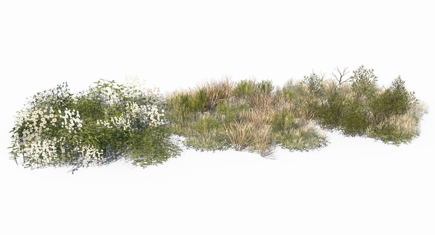 Grass and Plant Low Poly Low-poly 3D model_1