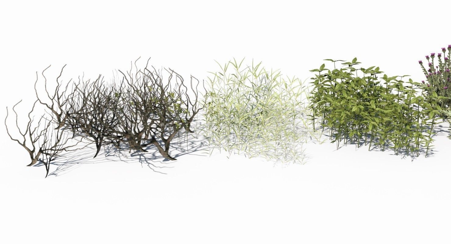 Grass and Plant Low Poly Low-poly 3D model_6