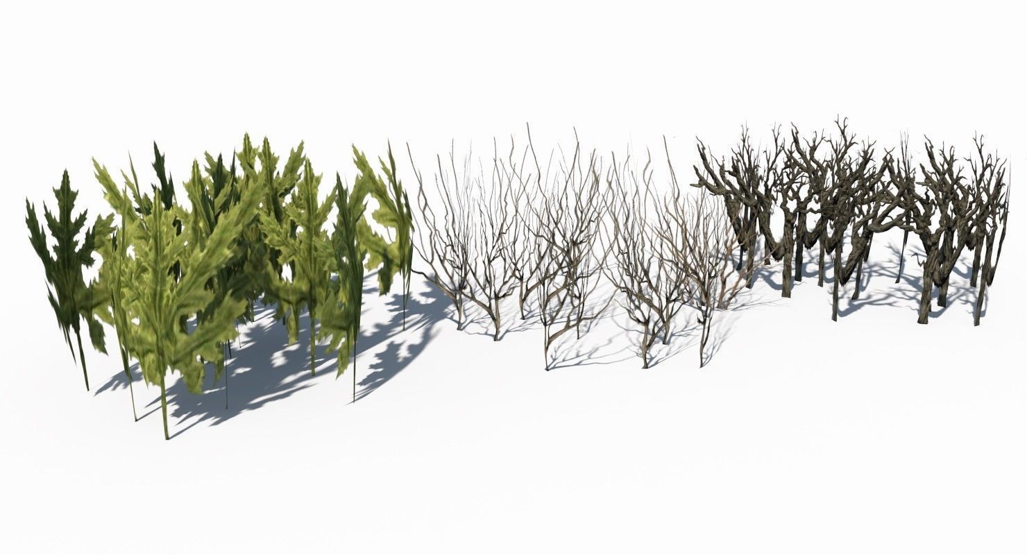 Grass and Plant Low Poly Low-poly 3D model_2