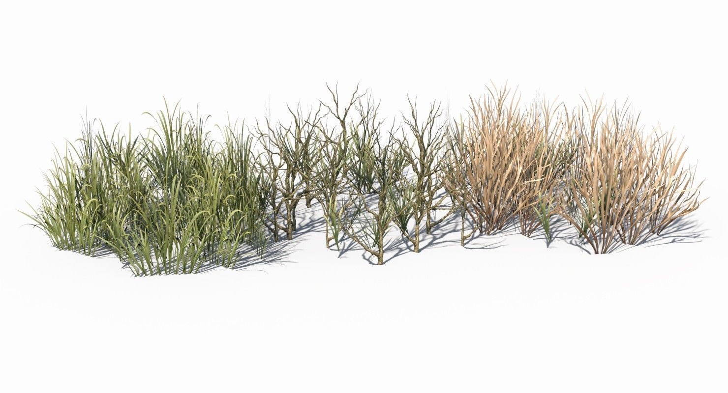 Grass and Plant Low Poly Low-poly 3D model_3