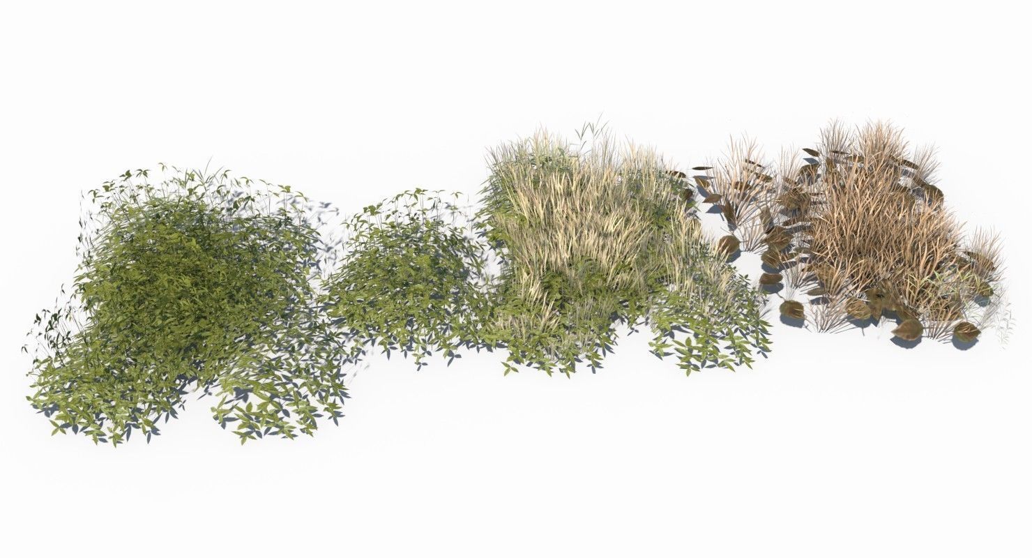 Grass and Plant Low Poly Low-poly 3D model_5