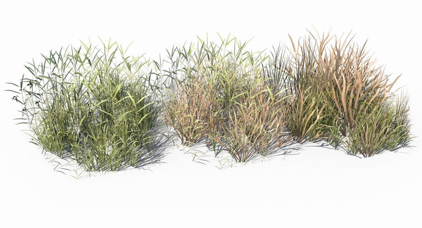 Grass and Plant Low Poly Low-poly 3D model_4