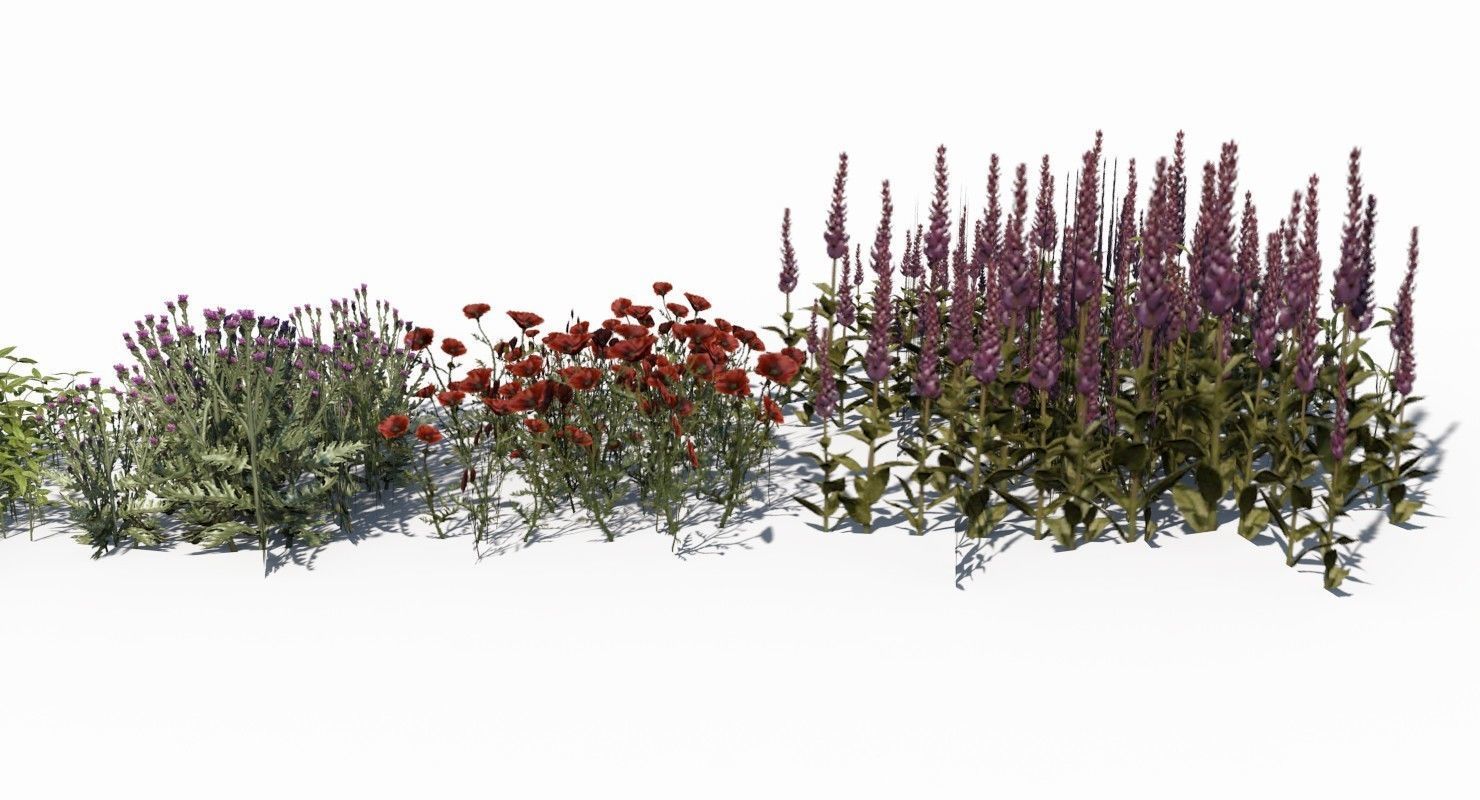 Grass and Plant Low Poly Low-poly 3D model_7