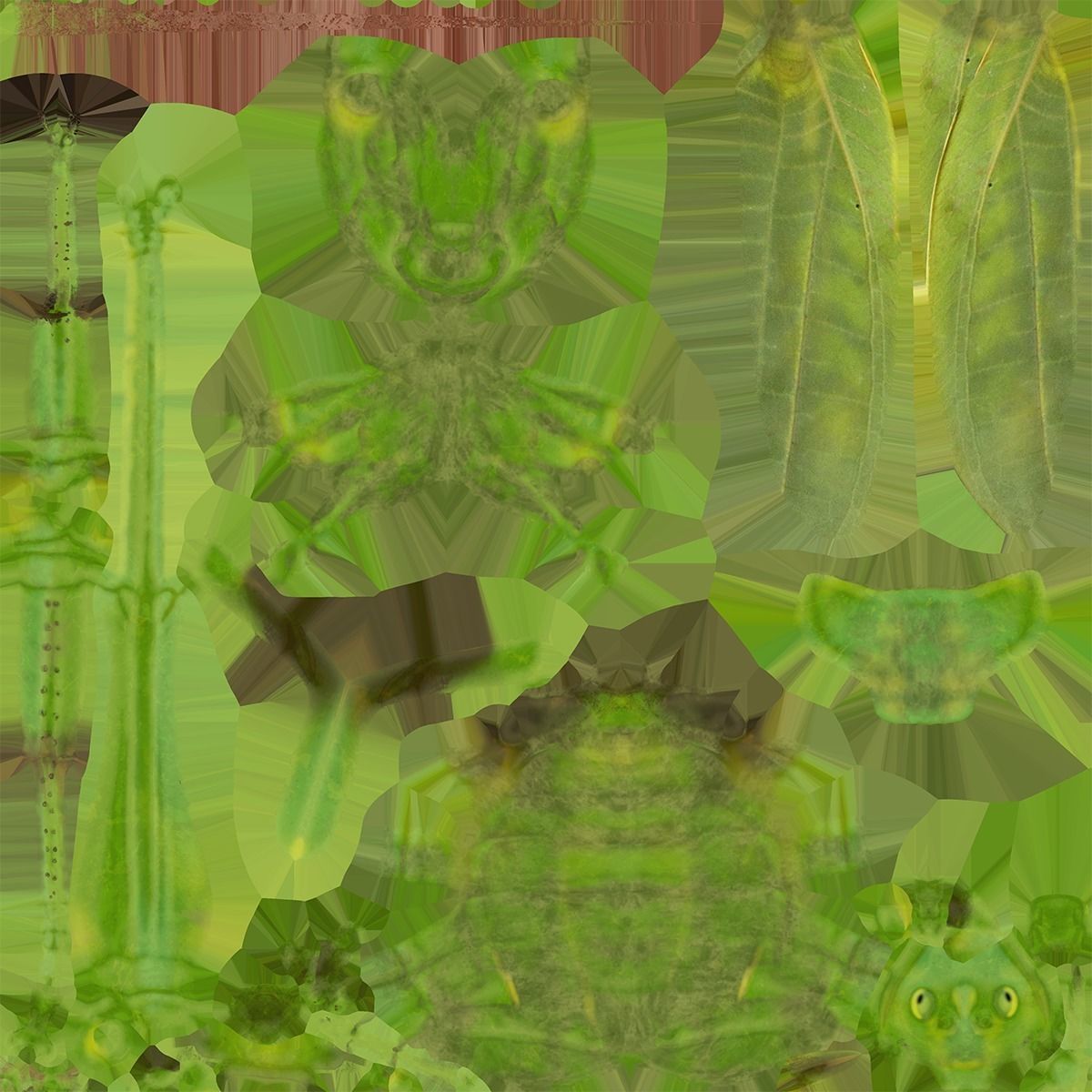 4K Katydid Low-poly 3D model_12