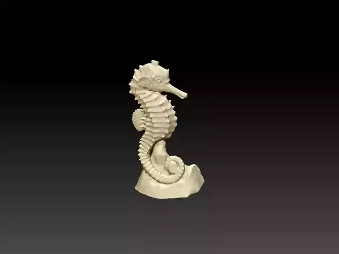 Seahorse with base