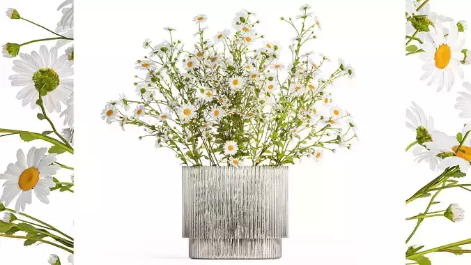 Small bouquet of wildflowers daisies chamomile 411