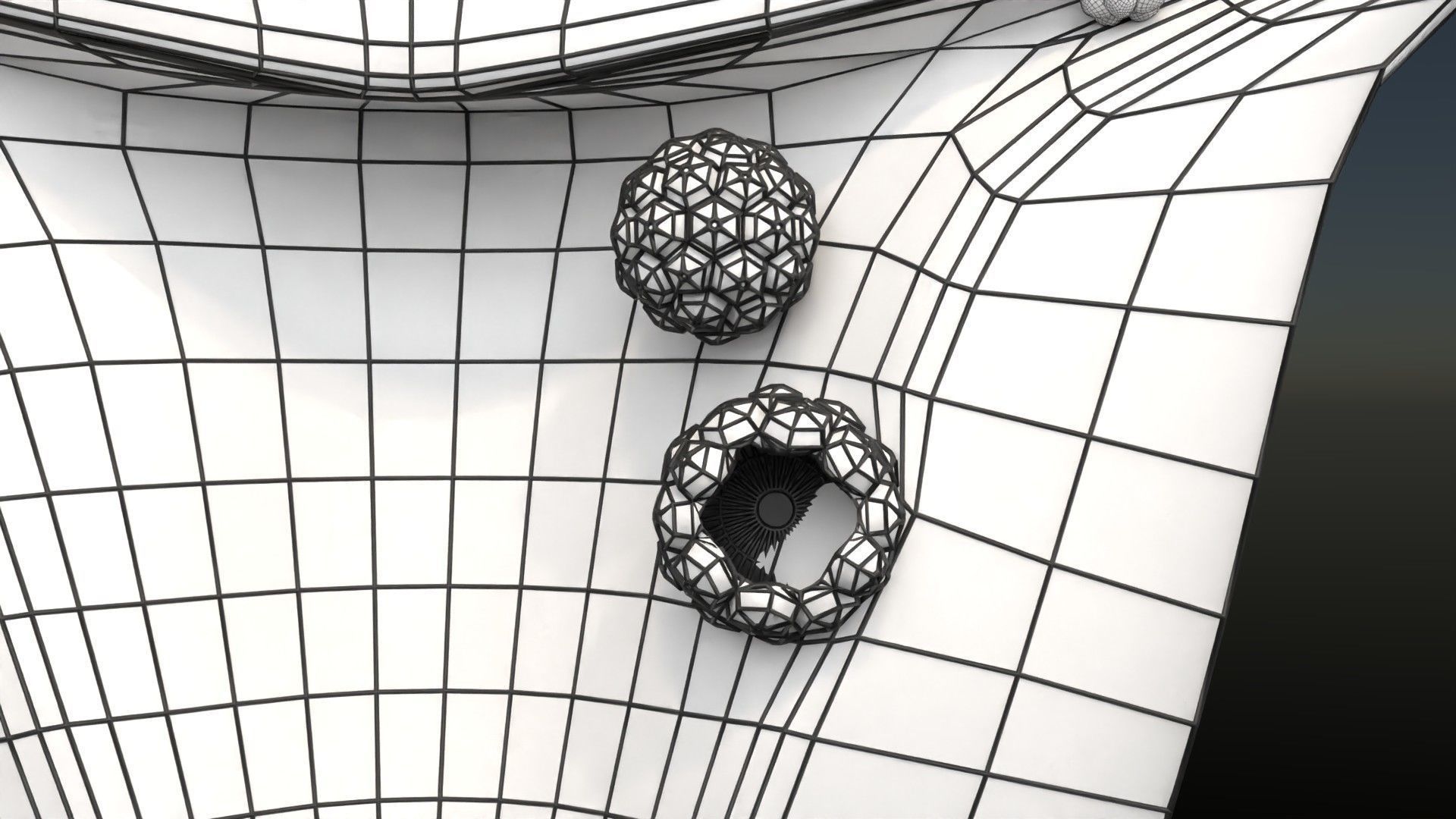 Fertilization stages of ovum 3D model_96