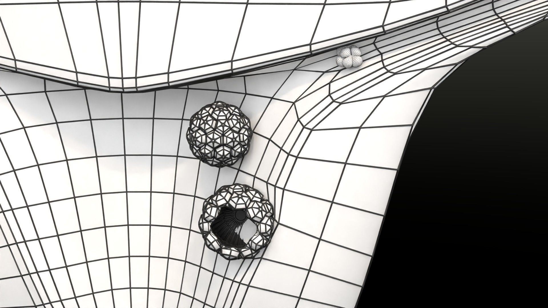 Fertilization stages of ovum 3D model_110