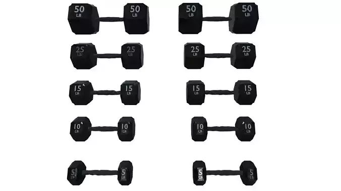 high-quality set of 5 dumbbells in a realistic 3D model