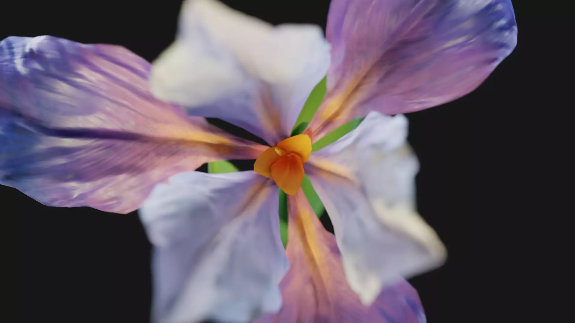 Animated Low Poly Iris Flower Low-poly 3D model_0