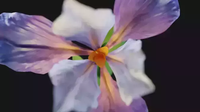 Animated Low Poly Iris Flower