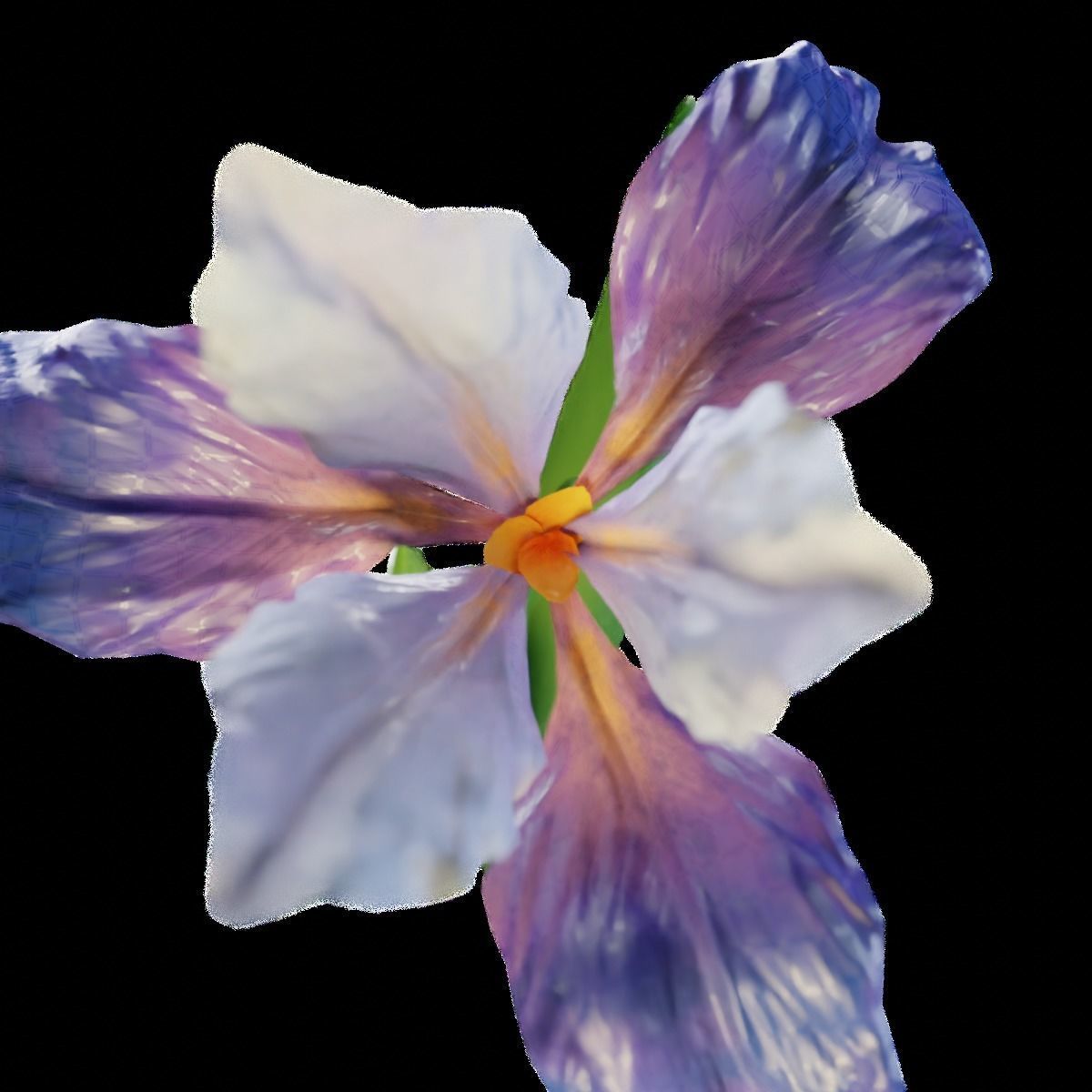 Animated Low Poly Iris Flower Low-poly 3D model_6