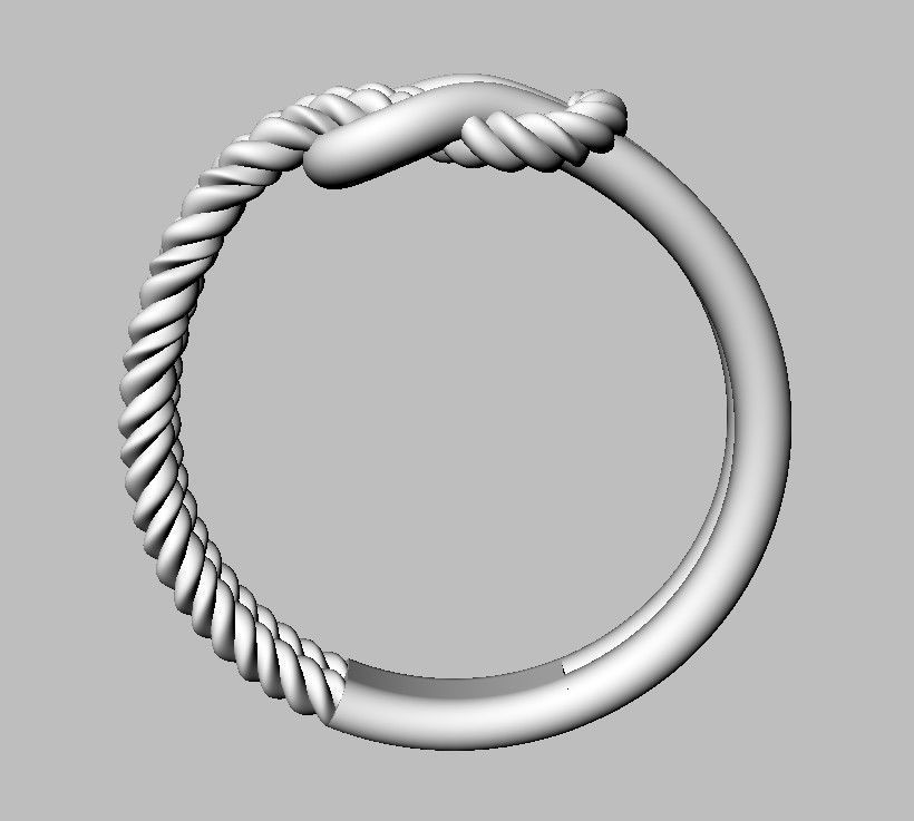 Knot  Rope Ring 3D print model_24
