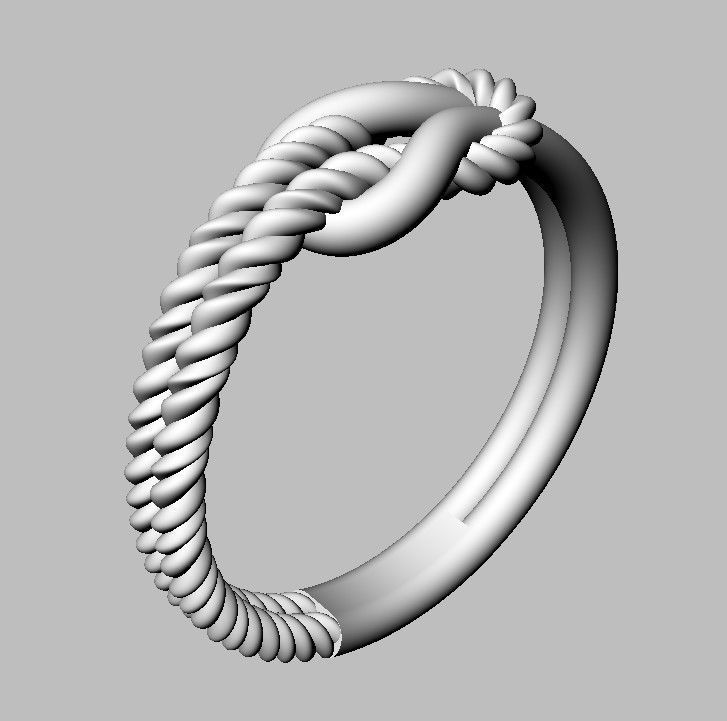 Knot  Rope Ring 3D print model_18