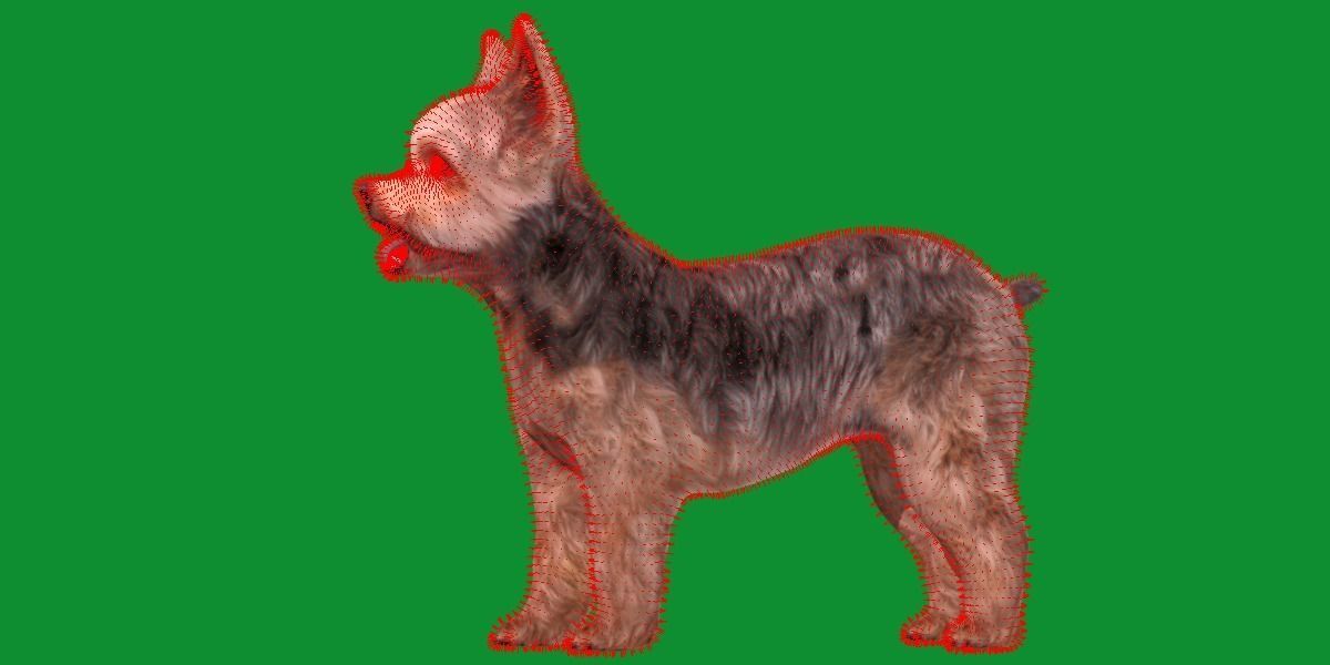 Yorkshire Terrier Dog Low-poly 3D model_16