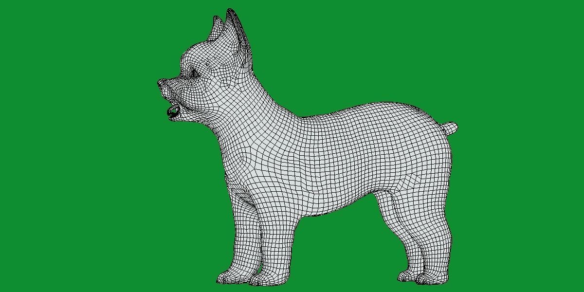 Yorkshire Terrier Dog Low-poly 3D model_14