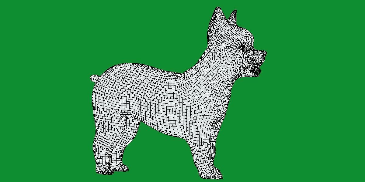 Yorkshire Terrier Dog Low-poly 3D model_13