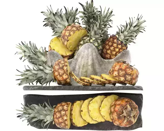 giant clam shell bowl of pineapples