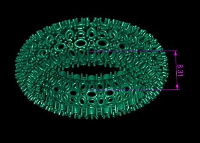 Ring S248 3D print model_3
