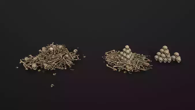 Broken Skulls with Spider Webs COLLECTION Low-poly 3D model