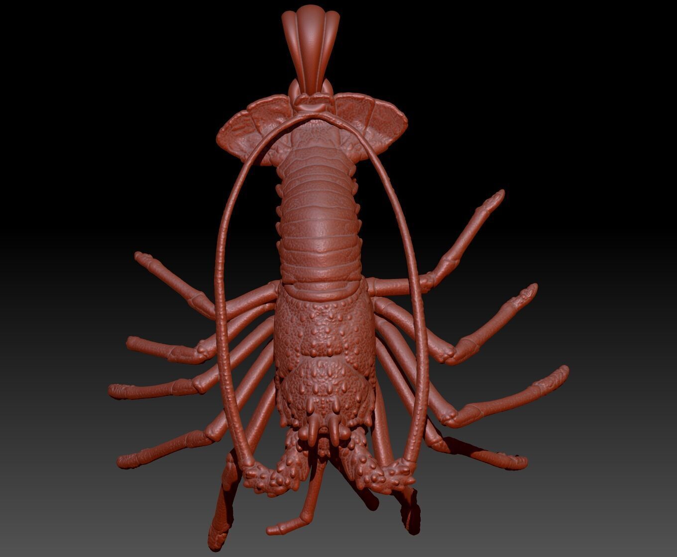 Lobster crabfish pendent Necklace Charm Jewelry 3D print model_30