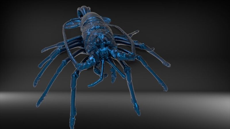 Lobster crabfish pendent Necklace Charm Jewelry 3D print model_27