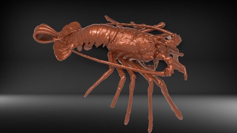 Lobster crabfish pendent Necklace Charm Jewelry 3D print model_22