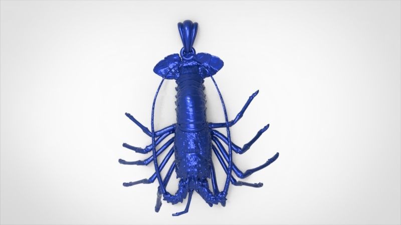 Lobster crabfish pendent Necklace Charm Jewelry 3D print model_10