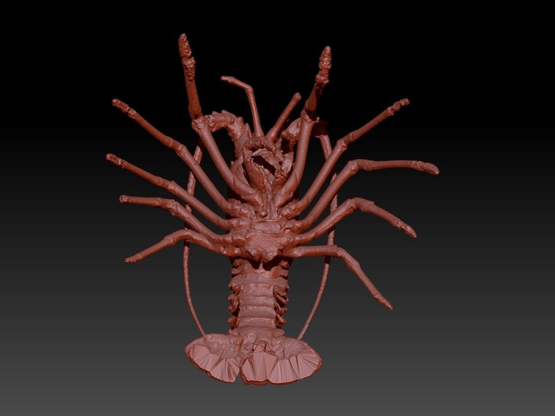 Lobster crabfish pendent Necklace Charm Jewelry 3D print model_2