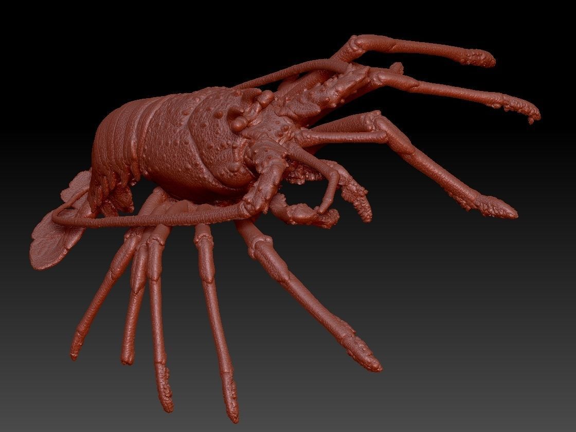 Lobster crabfish pendent Necklace Charm Jewelry 3D print model_3