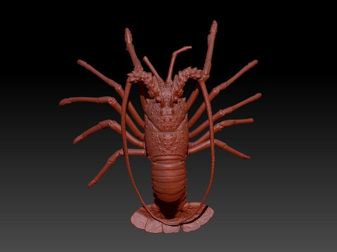 Lobster crabfish pendent Necklace Charm Jewelry 3D print model_1