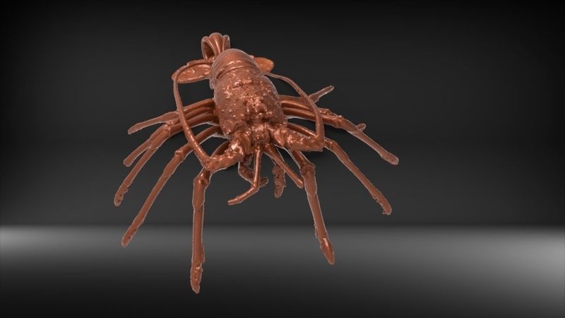 Lobster crabfish pendent Necklace Charm Jewelry 3D print model_23