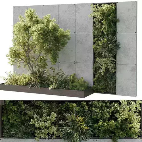 Vertical Wall Garden With Wooden frame -  indoor plant 80