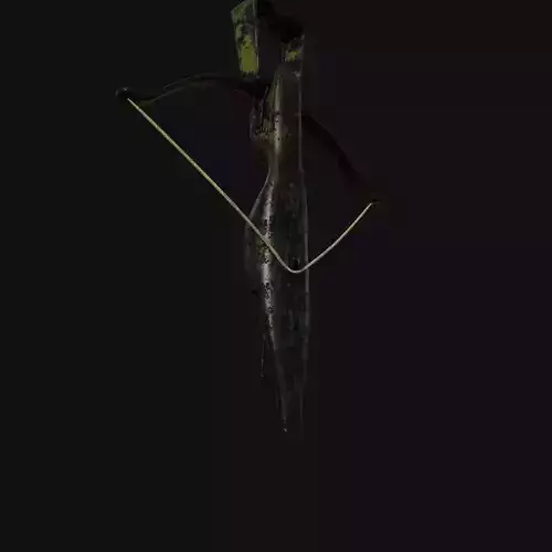 Royal Golden Recurve Bow