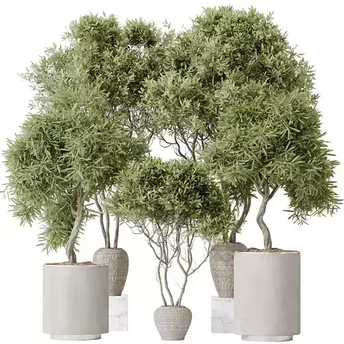 Indoor plant set 65 3D model