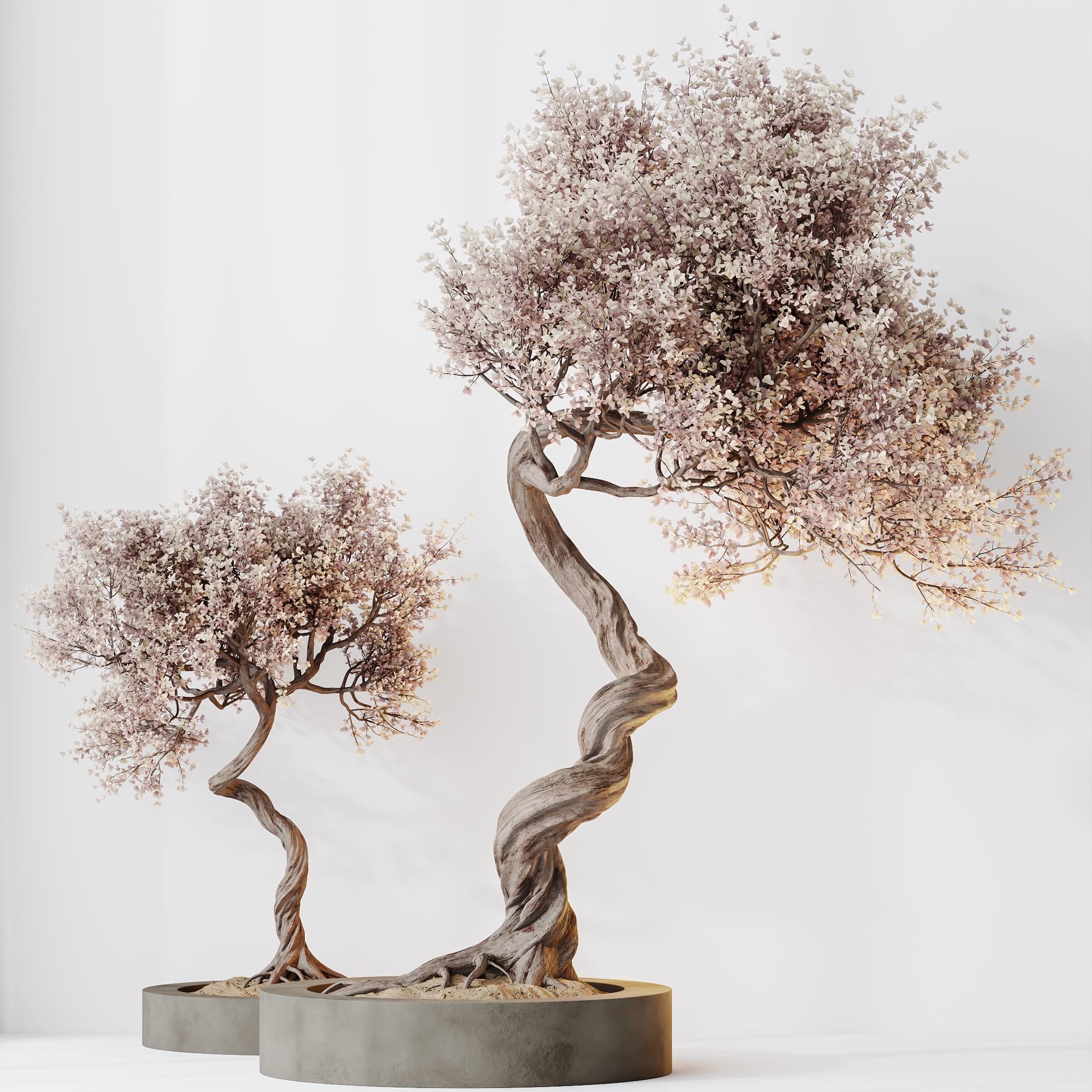 Kalamata Leccino Arbequina Wilsonii Chemlali Olive Set 31 3D model_1