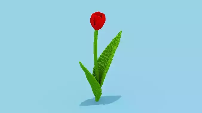 Red Tulip Voxel