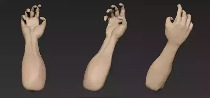 HUMAN HAND