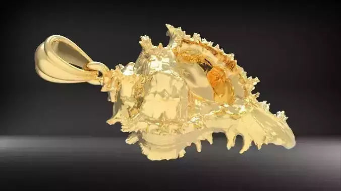 Shell Pendant Cabrits Murex Pendant  necklace charm jewelry 3D print model