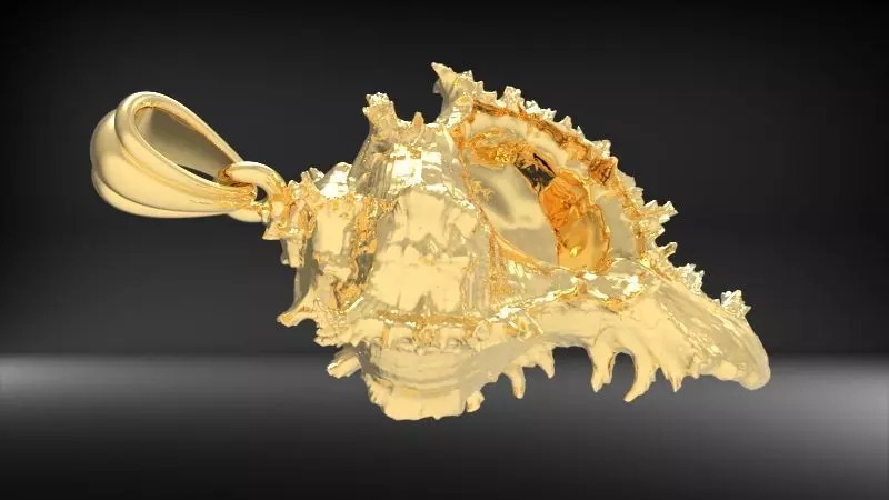 Shell Pendant Cabrits Murex Pendant necklace charm jewelry 3D print model