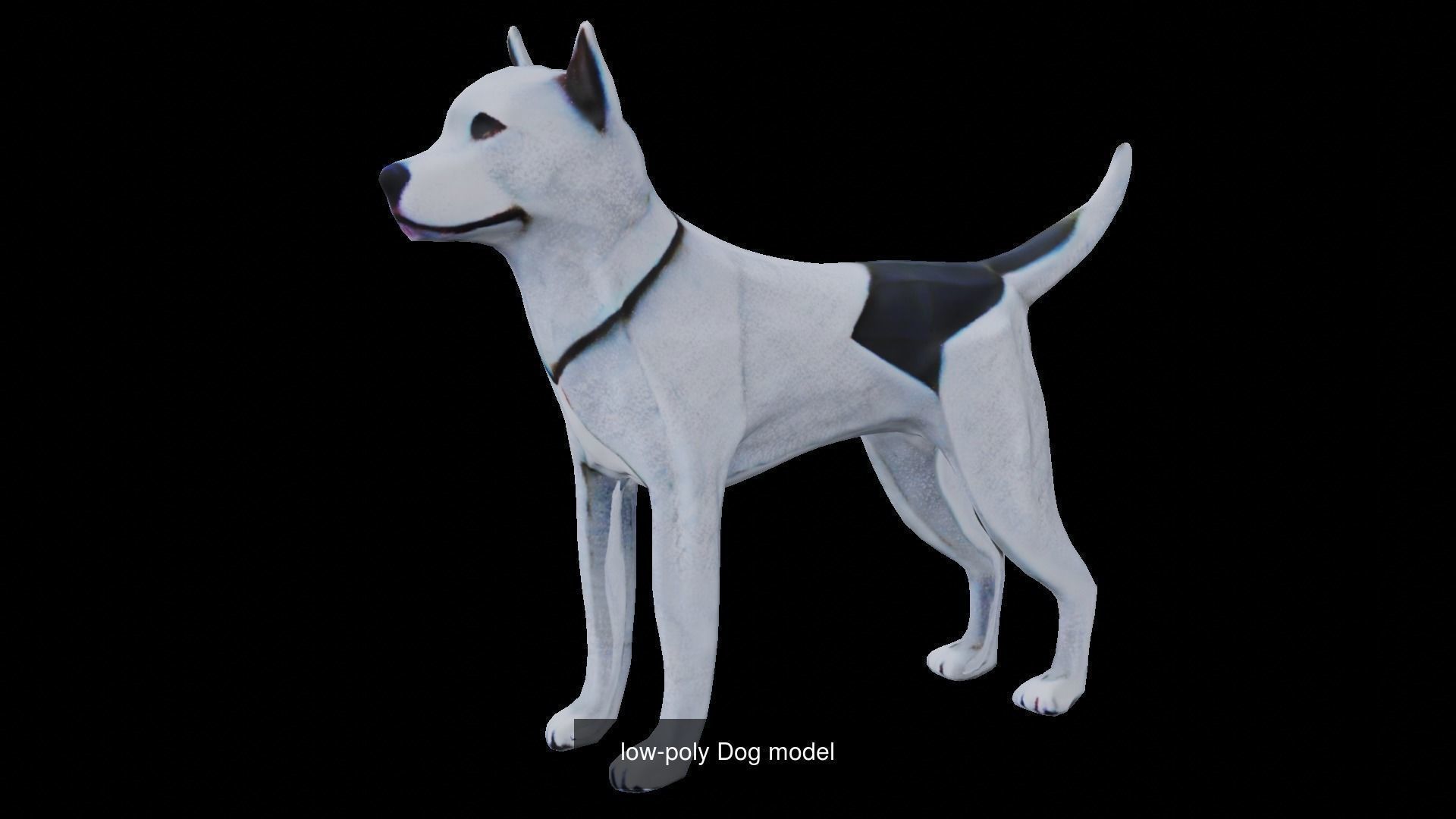 4 dog low poly 3D Model Collection_7