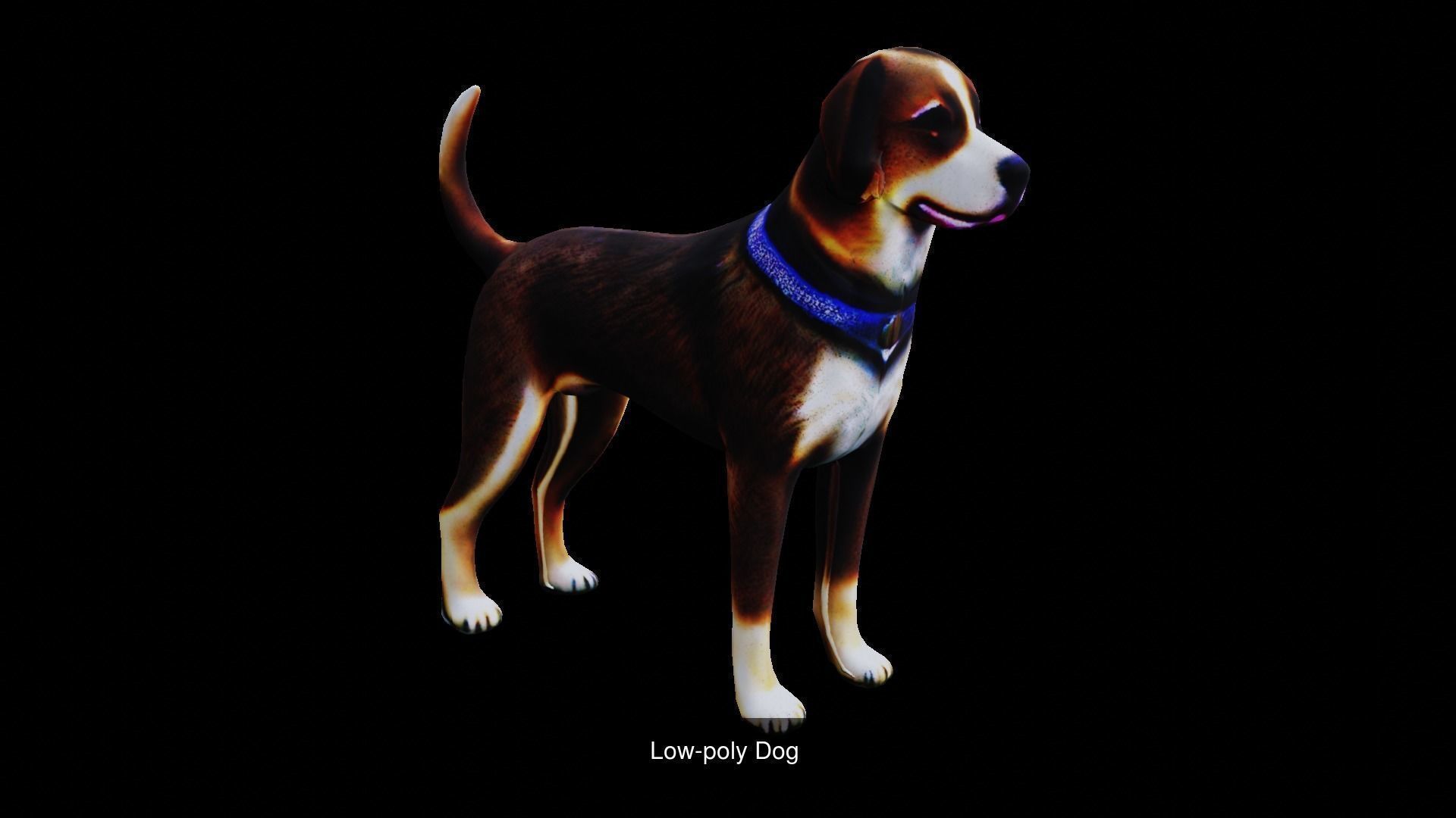 4 dog low poly 3D Model Collection_6